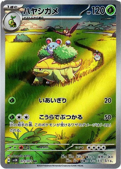 ハヤシガメ